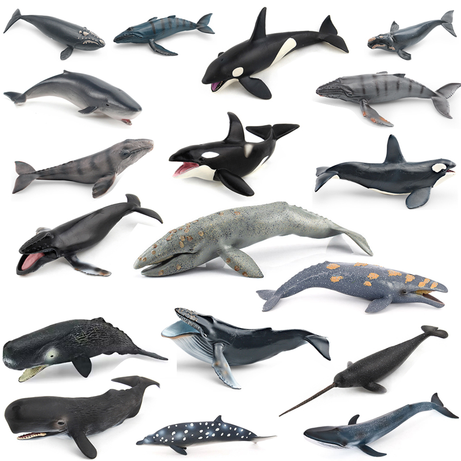 Realistic Humpback Whale Sperm - đánh giá và giá Kids Toys Under 100