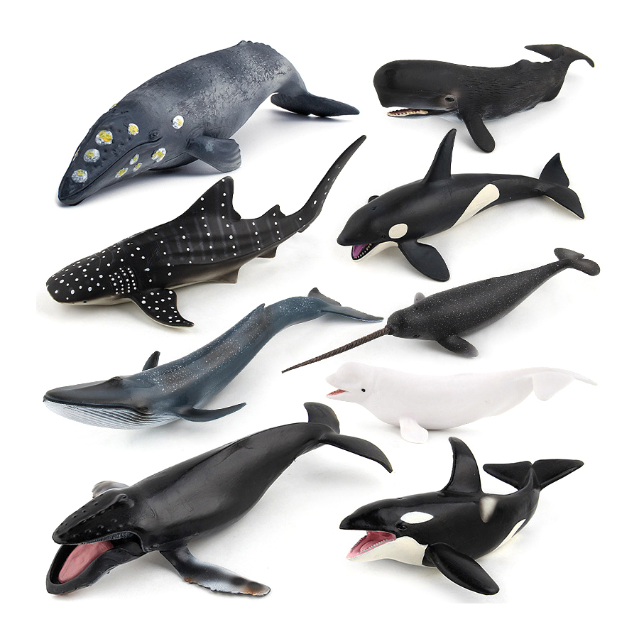 Realistic Humpback Whale Sperm - đánh giá và giá Kids Toys Under 100