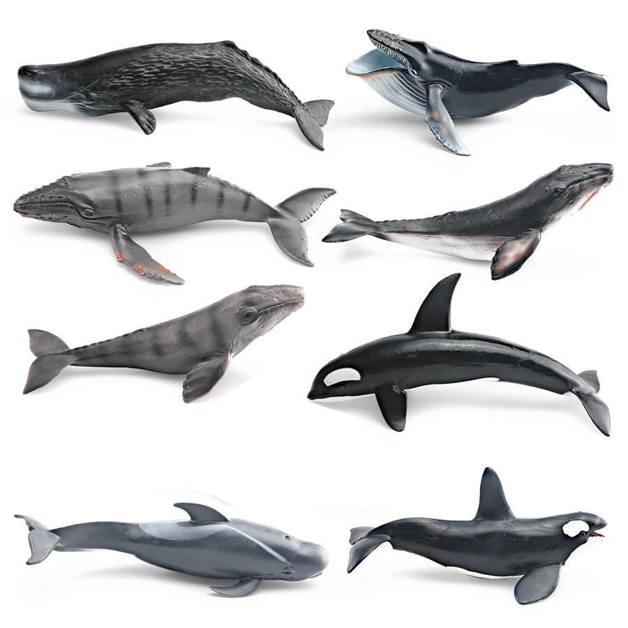 Realistic Humpback Whale Sperm - đánh giá và giá Kids Toys Under 100