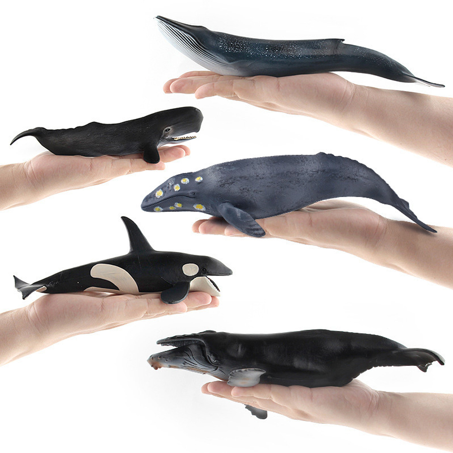 Realistic Humpback Whale Sperm - đánh giá và giá Kids Toys Under 100